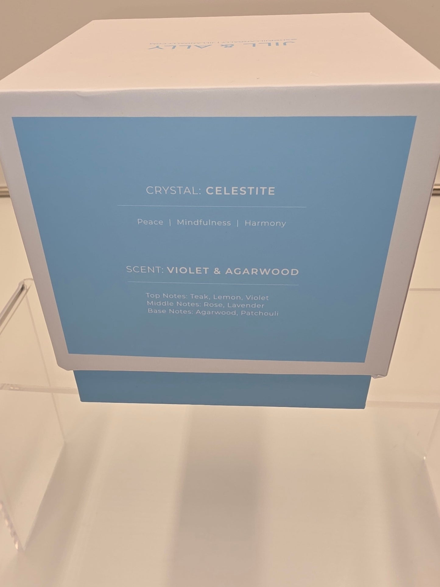 Jill & Ally Crystal Manifestation Candle - "It's Already Yours"